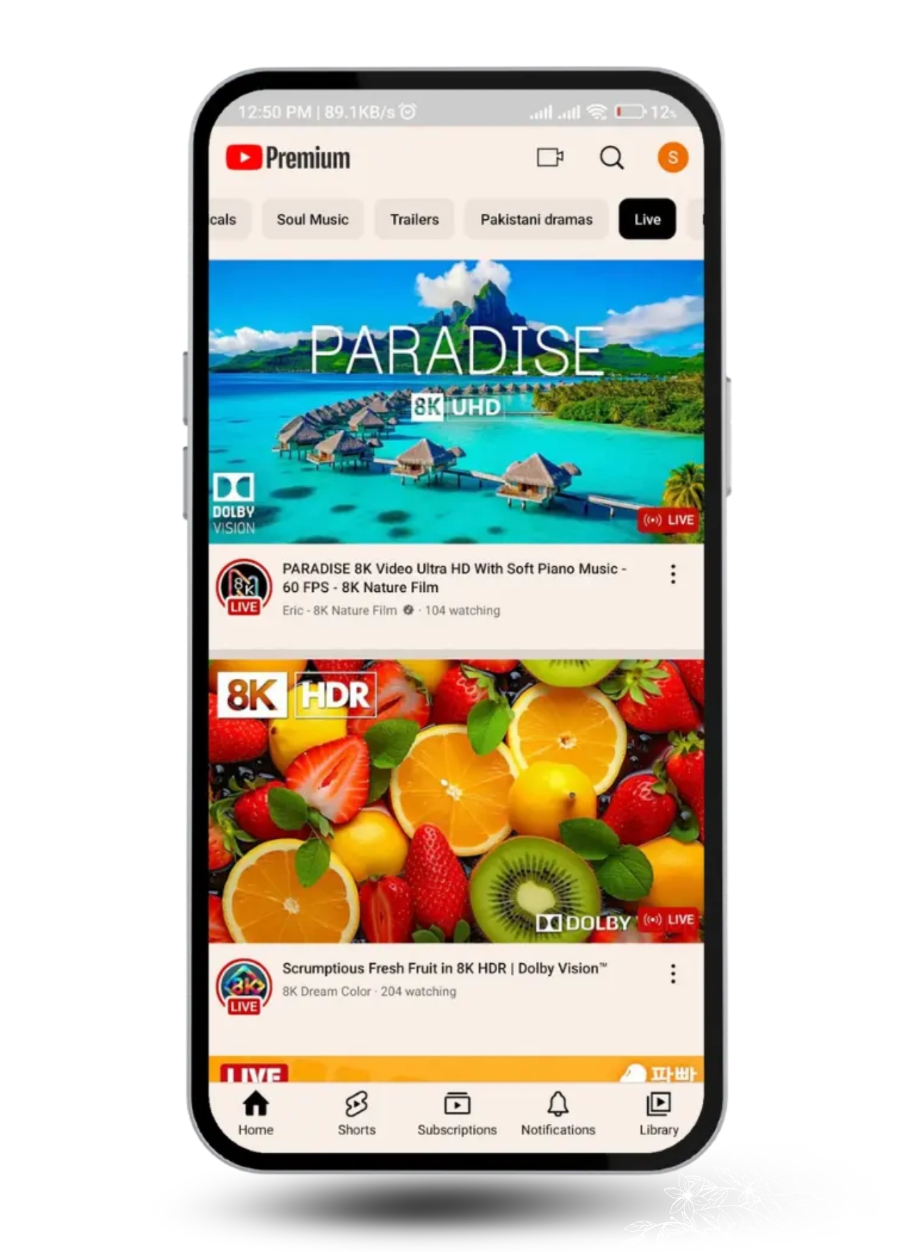 Youtube Premium Mod APK
